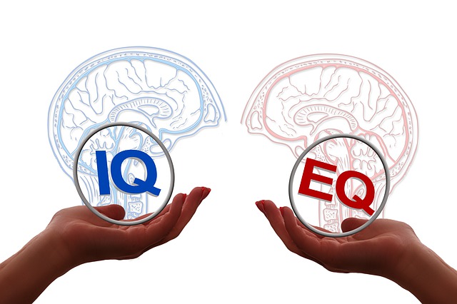 use of low grade subjects in real life EQ vs IQ